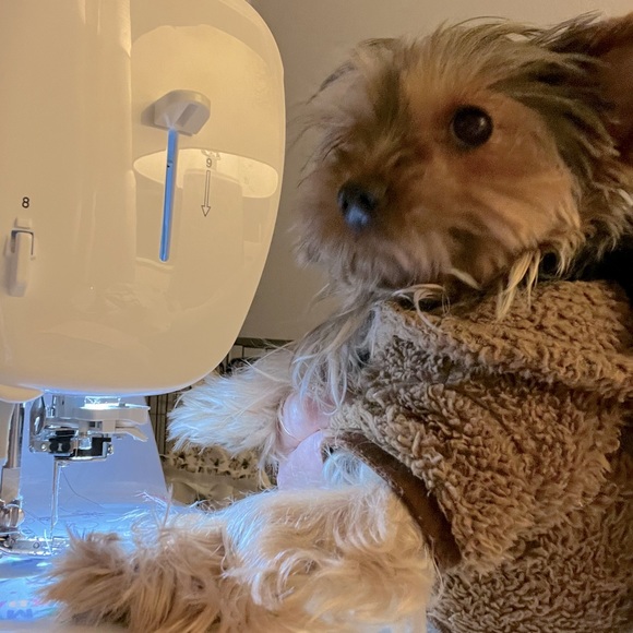 Hi! I’m MilA , - Picture 1 of 2